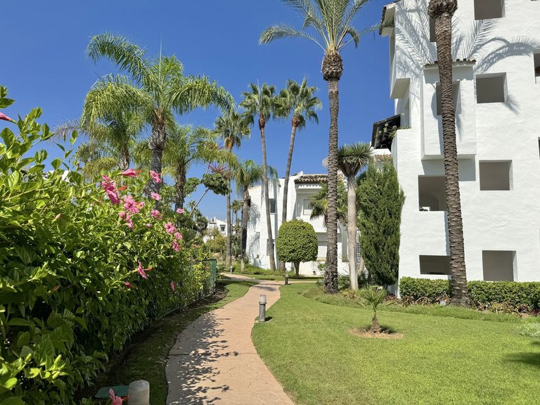 Apartment for Sale in Costalita, Malaga 40
