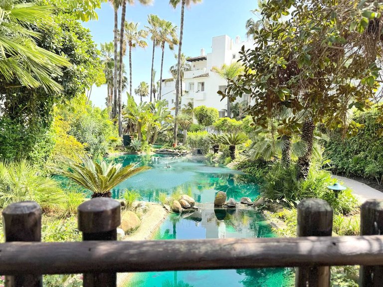 Apartment for Sale in Costalita, Malaga 41