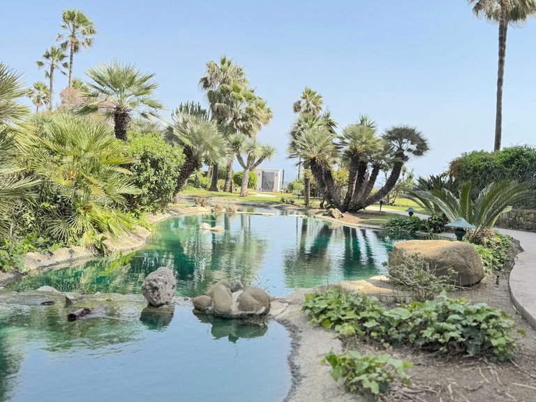 Apartment for Sale in Costalita, Malaga 42