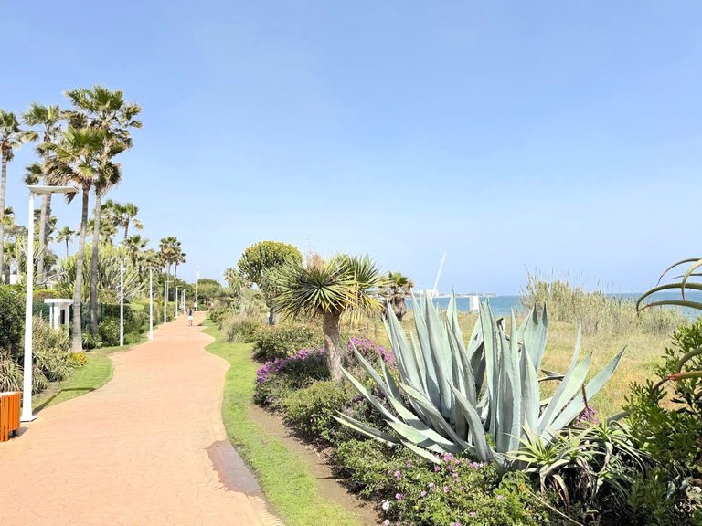 Apartment for Sale in Costalita, Malaga 44