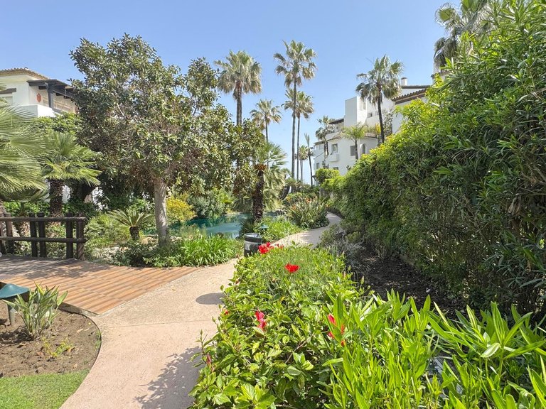 Apartment for Sale in Costalita, Malaga 58