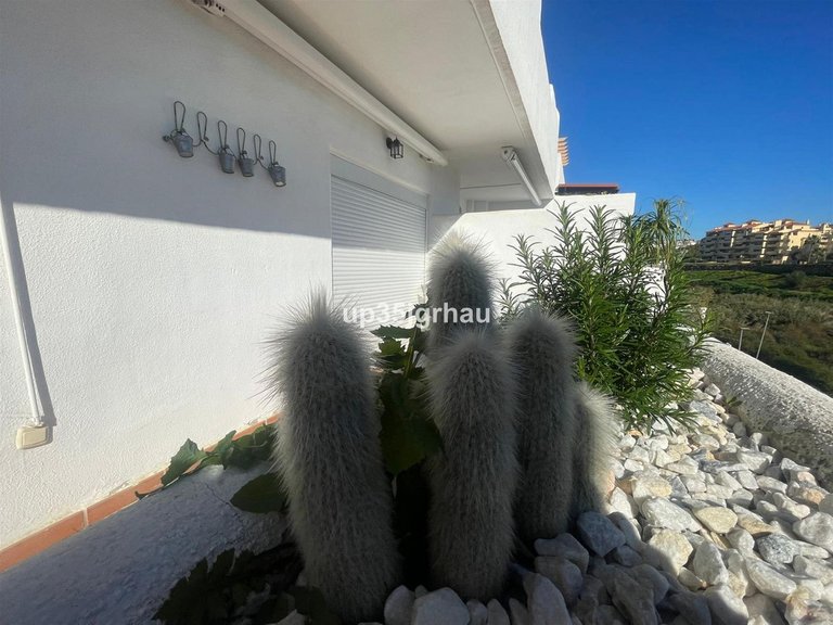Apartment for Sale in Selwo, Malaga 18