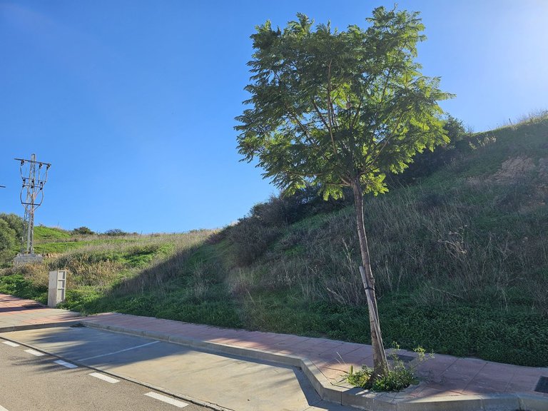 Plot for Sale in Valle Romano, Malaga 1