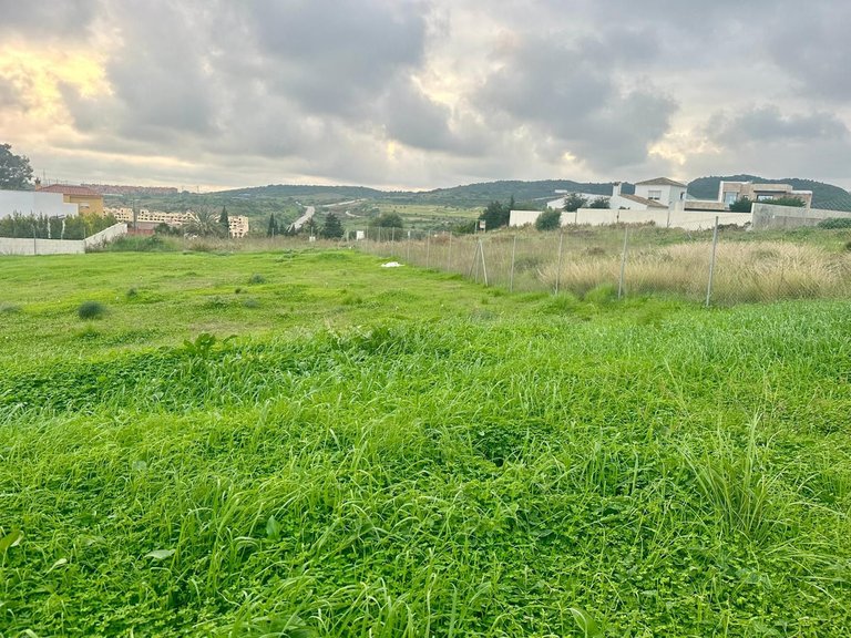 Plot for Sale in Valle Romano, Malaga 11