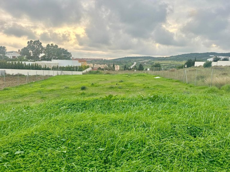 Plot for Sale in Valle Romano, Malaga 9