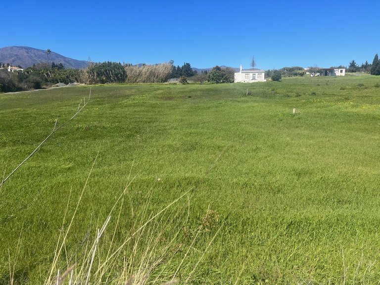 Plot for Sale in Estepona, Malaga 1
