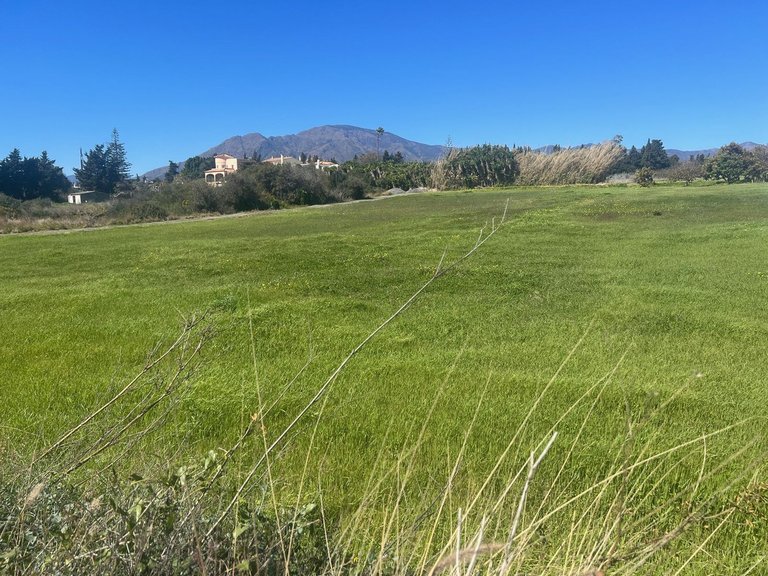 Plot for Sale in Estepona, Malaga 3
