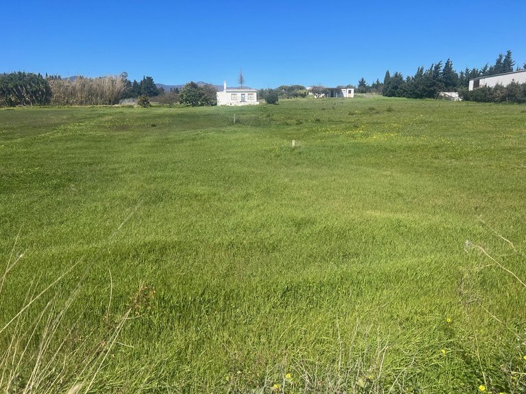 Plot for Sale in Estepona, Malaga 4