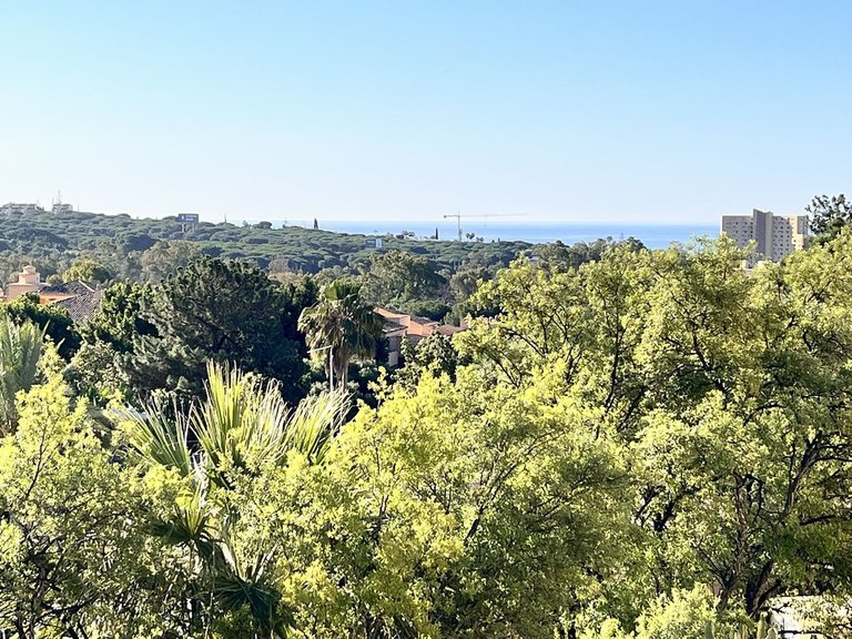 Apartment for Sale in Marbella, Malaga 39