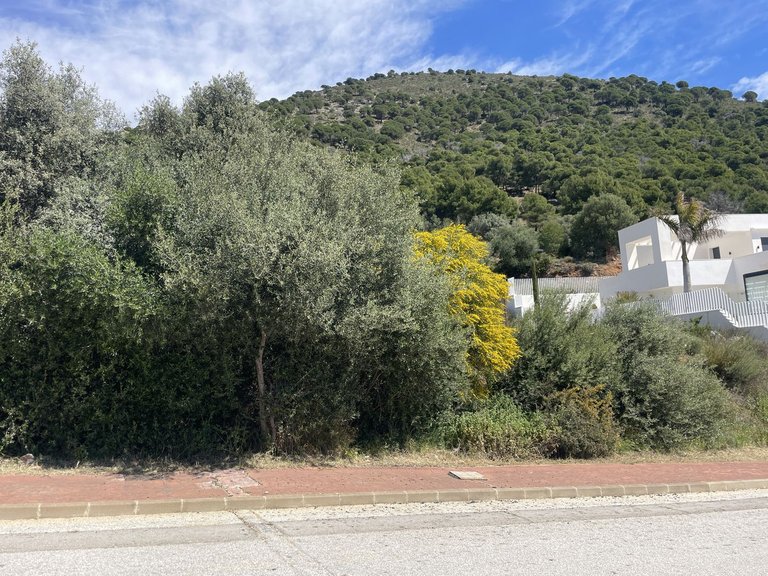 Plot for Sale in Mijas, Malaga 4