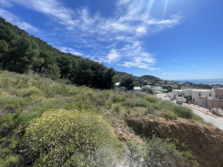 Plot for Sale in Mijas, Malaga 7