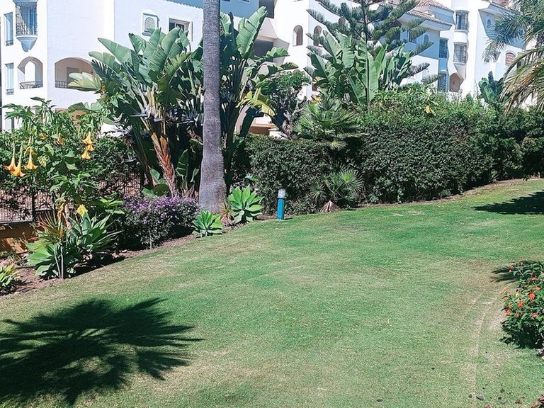 Apartment for Sale in Elviria, Malaga 25