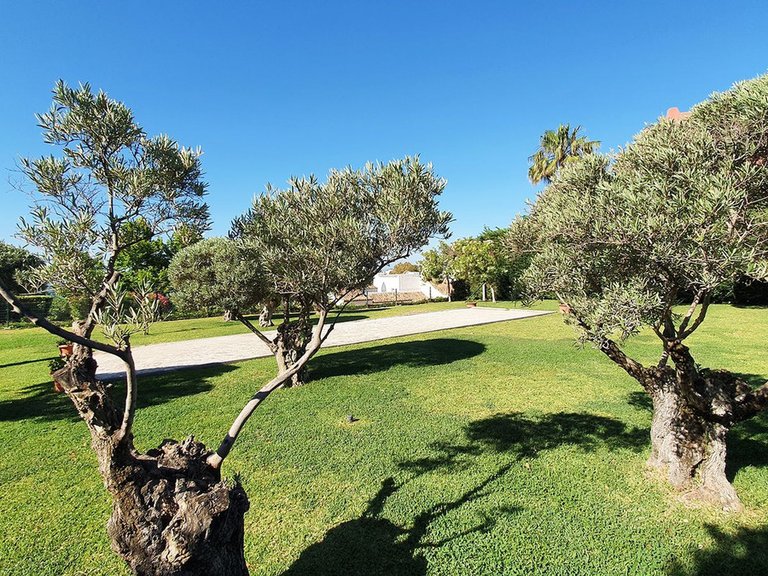 Apartment for Sale in Benalmadena Costa, Malaga 21