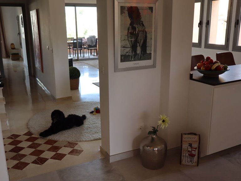 Apartment for Sale in Atalaya, Malaga 16
