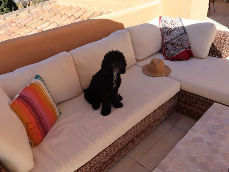 Apartment for Sale in Atalaya, Malaga 38