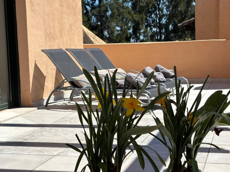 Apartment for Sale in Atalaya, Malaga 53