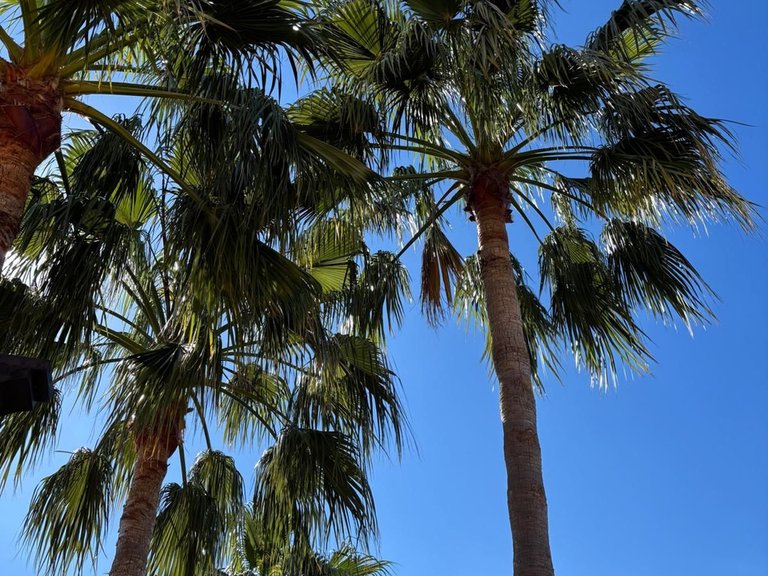 Apartment for Sale in Atalaya, Malaga 58