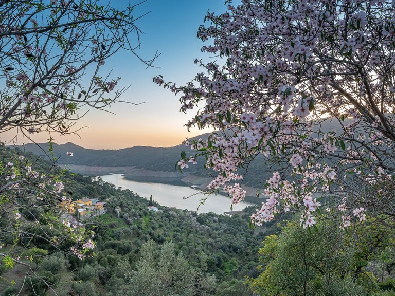 Villa for Sale in Istán, Malaga 30