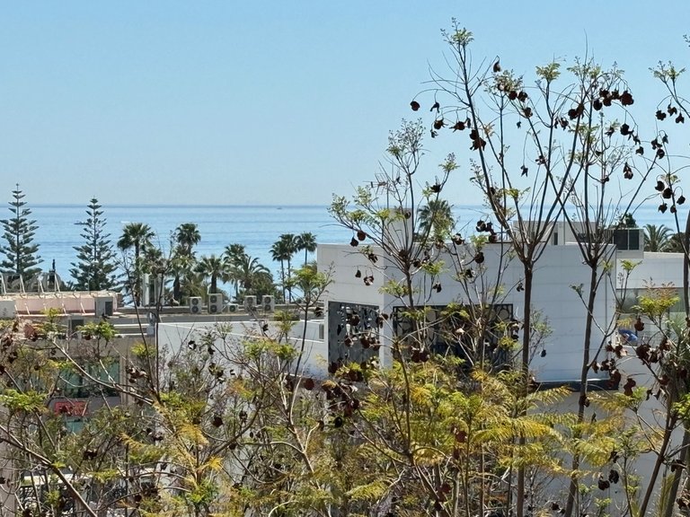 Apartment for Sale in Marbella, Malaga 6