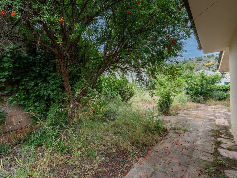Villa for Sale in Mayorazgo, Malaga 39