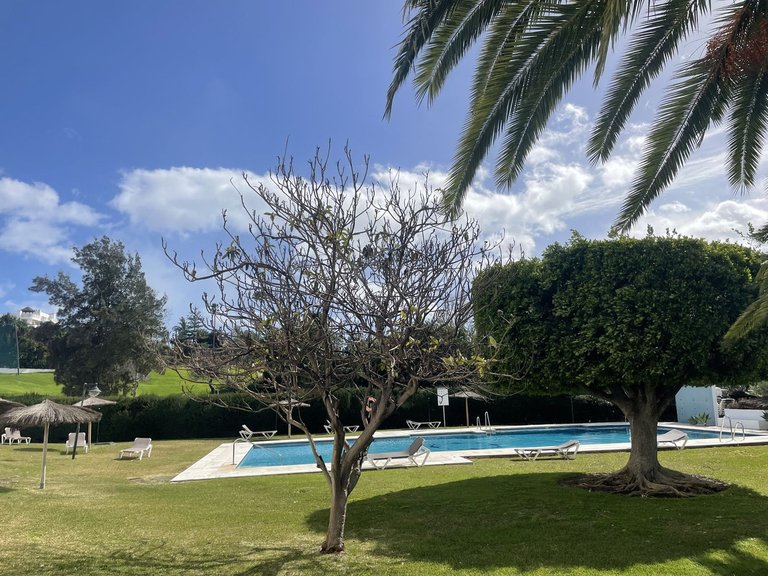 Apartment for Sale in San Pedro De Alcántara, Malaga 8