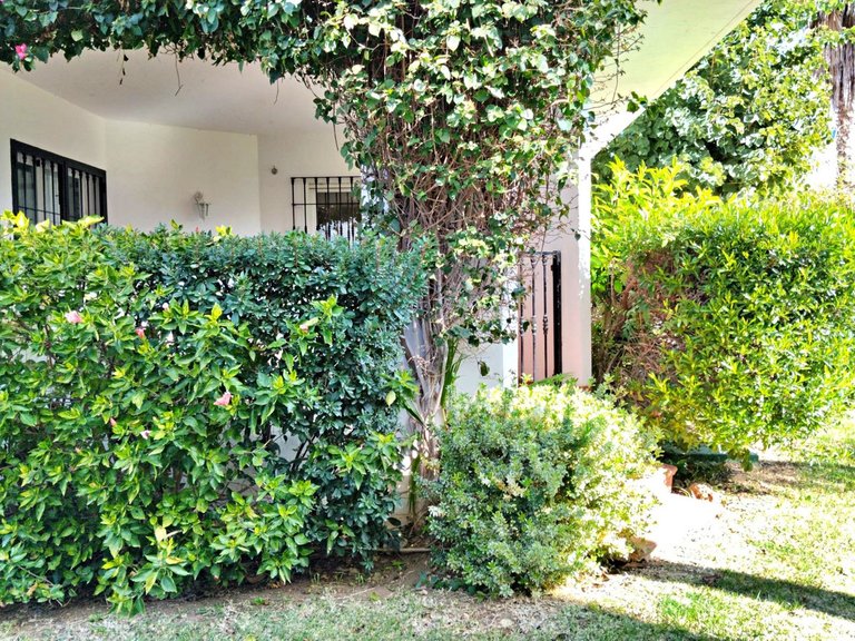 Apartment for Sale in Nueva Andalucía, Malaga 11