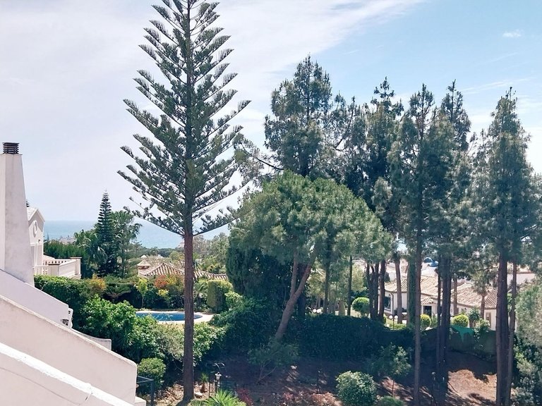 Villa for Sale in Calahonda, Malaga 27