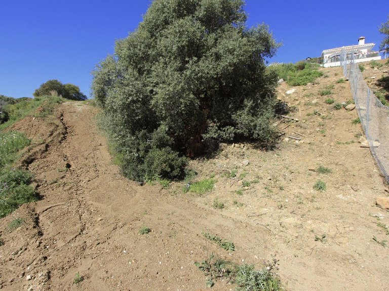 Plot for Sale in Mijas, Malaga 27