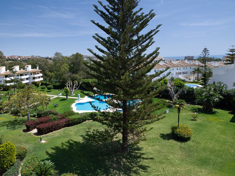 Apartment for Sale in Calahonda, Malaga 17