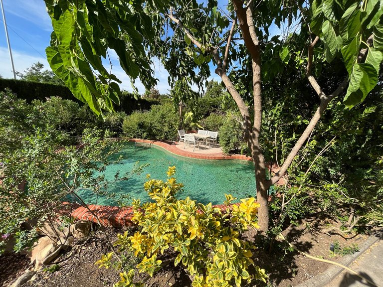 Villa for Sale in Alhaurín De La Torre, Malaga 3