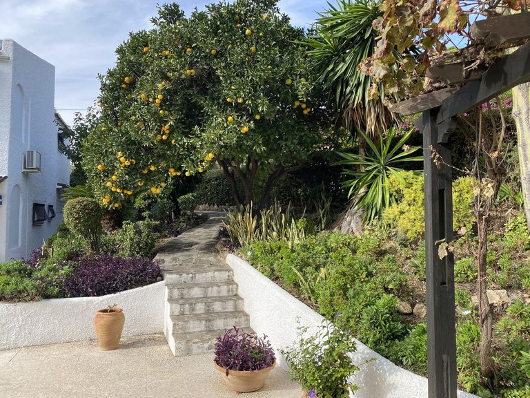 Villa for Sale in Mijas, Malaga 29