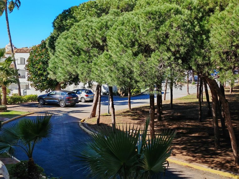 Apartment for Sale in Calahonda, Malaga 26