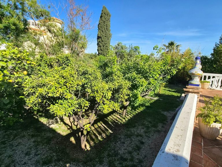 Villa for Sale in Alhaurín De La Torre, Malaga 14