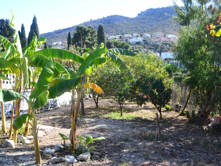 Villa for Sale in Alhaurín De La Torre, Malaga 60