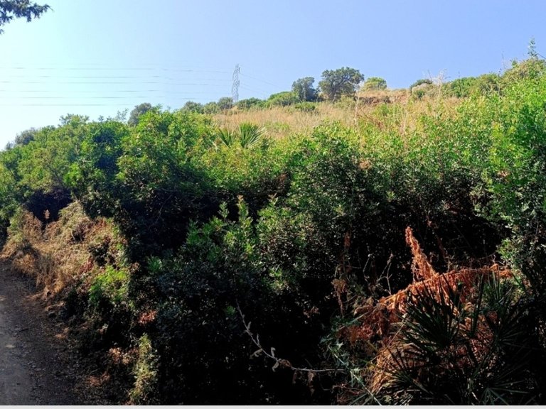 Plot for Sale in Estepona, Malaga 1