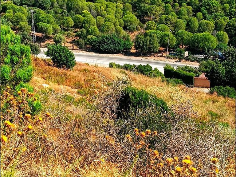 Plot for Sale in Estepona, Malaga 5
