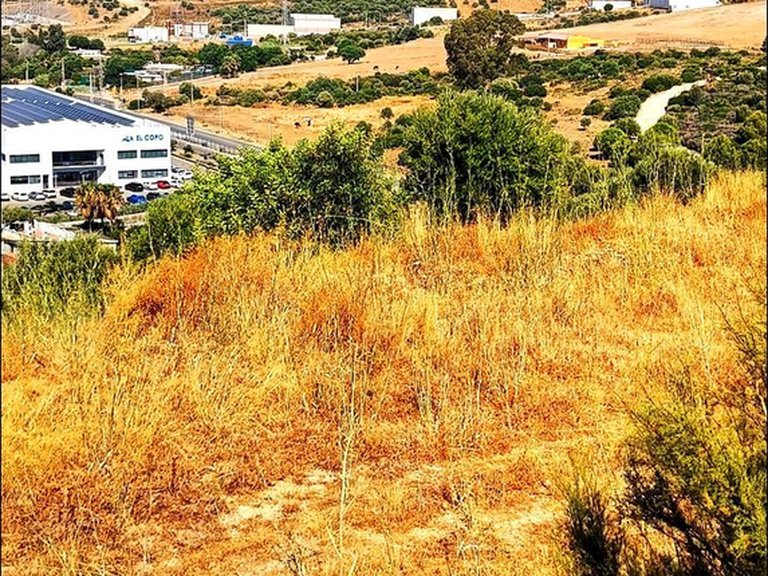 Plot for Sale in Estepona, Malaga 7