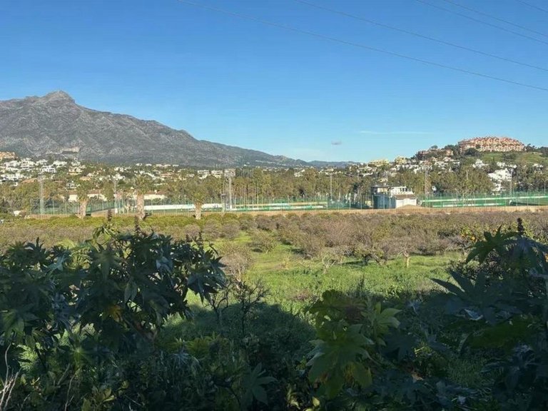Plot for Sale in San Pedro De Alcántara, Malaga 1