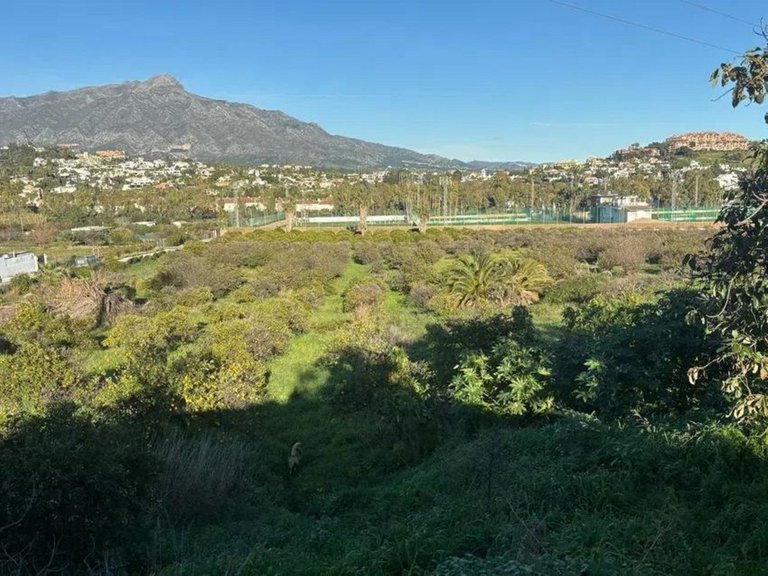 Plot for Sale in San Pedro De Alcántara, Malaga 2