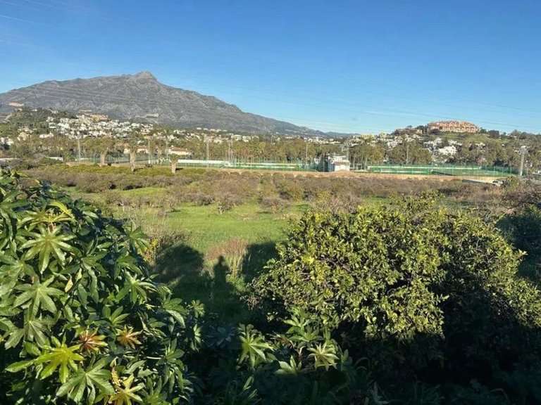 Plot for Sale in San Pedro De Alcántara, Malaga 4
