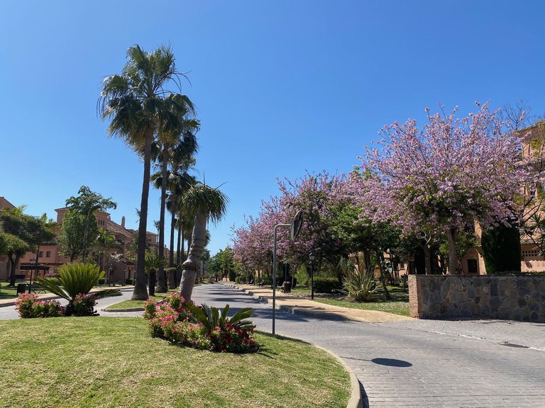 Apartment for Sale in Hacienda Del Sol, Malaga 33