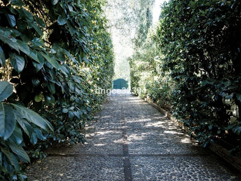 Villa for Sale in Sotogrande Costa, Cadiz 6