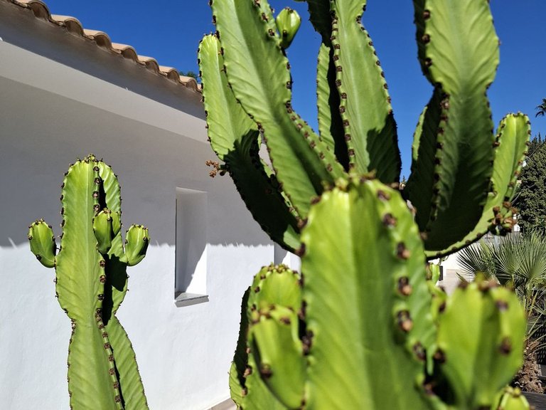 Villa for Sale in Mijas, Malaga 61