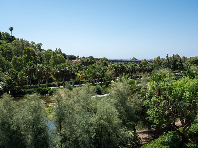 Apartment for Sale in Benahavís, Malaga 30