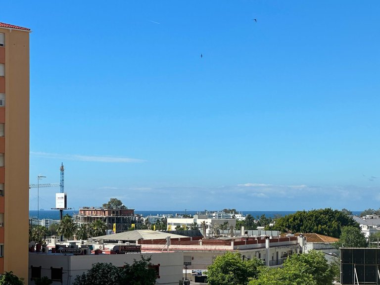 Apartment for Sale in San Pedro De Alcántara, Malaga 18