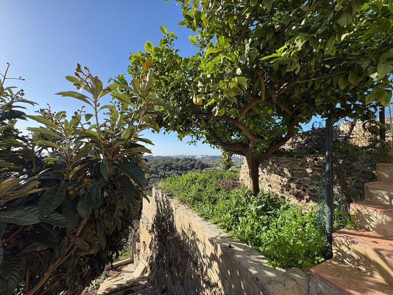 Villa for Sale in La Cala De Mijas, Malaga 34