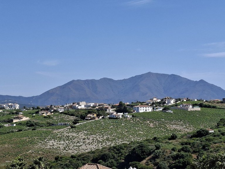 Villa for Sale in La Duquesa, Malaga 8