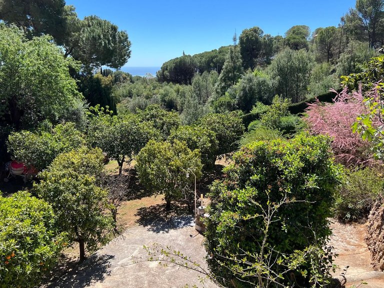 Villa for Sale in Mijas, Malaga 39