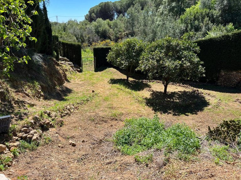 Villa for Sale in Mijas, Malaga 41