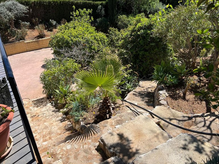 Villa for Sale in Mijas, Malaga 42